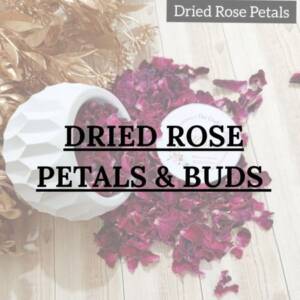 Rose Petals and Rose Buds